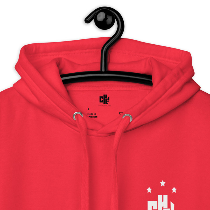 Buzo/Sudadera Unisex “El 10" – Homenaje - ( Ediciones sagradas)